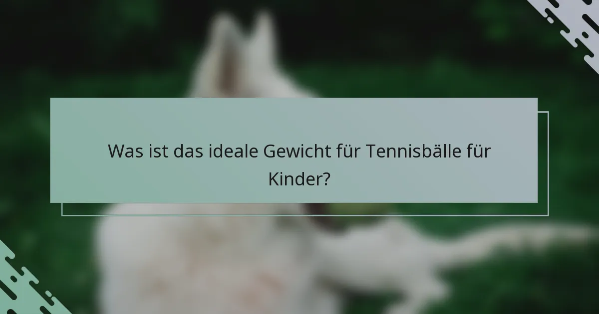 Was ist das ideale Gewicht für Tennisbälle für Kinder?