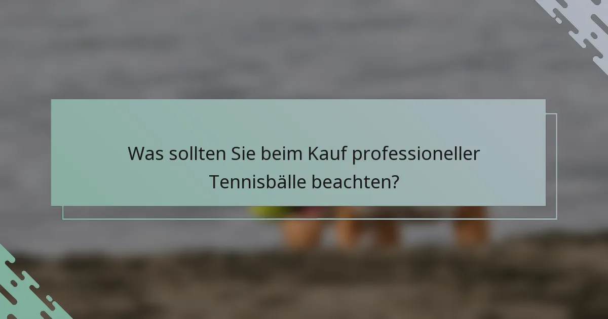 Was sollten Sie beim Kauf professioneller Tennisbälle beachten?