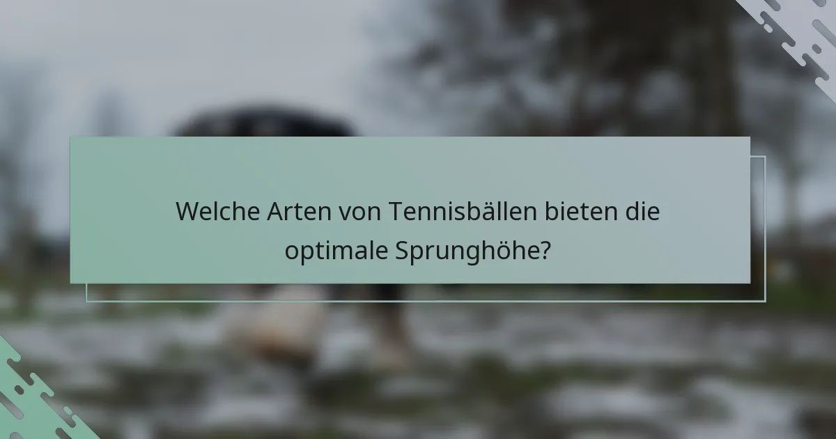 Welche Arten von Tennisbällen bieten die optimale Sprunghöhe?