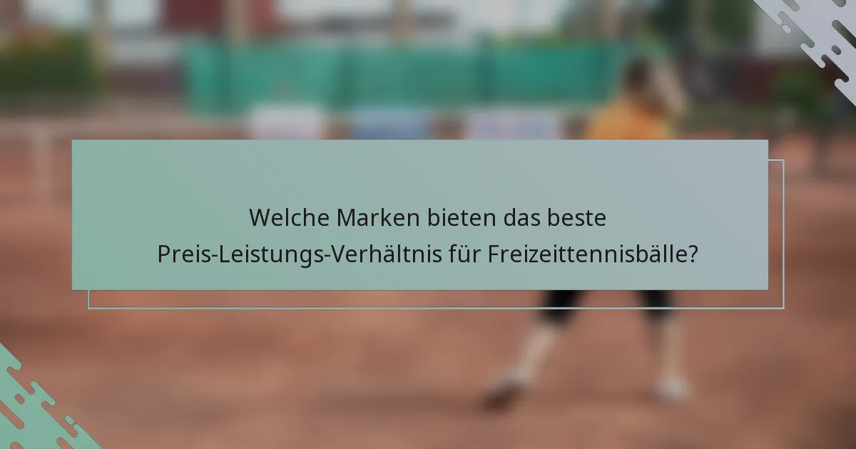 Welche Marken bieten das beste Preis-Leistungs-Verhältnis für Freizeittennisbälle?