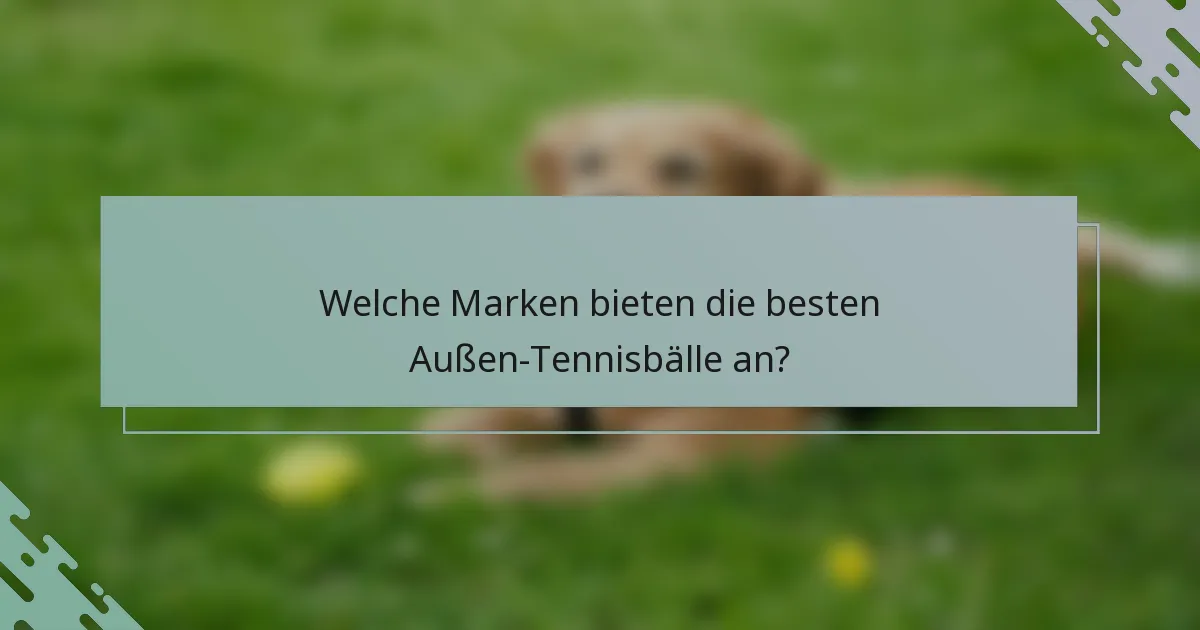 Welche Marken bieten die besten Außen-Tennisbälle an?
