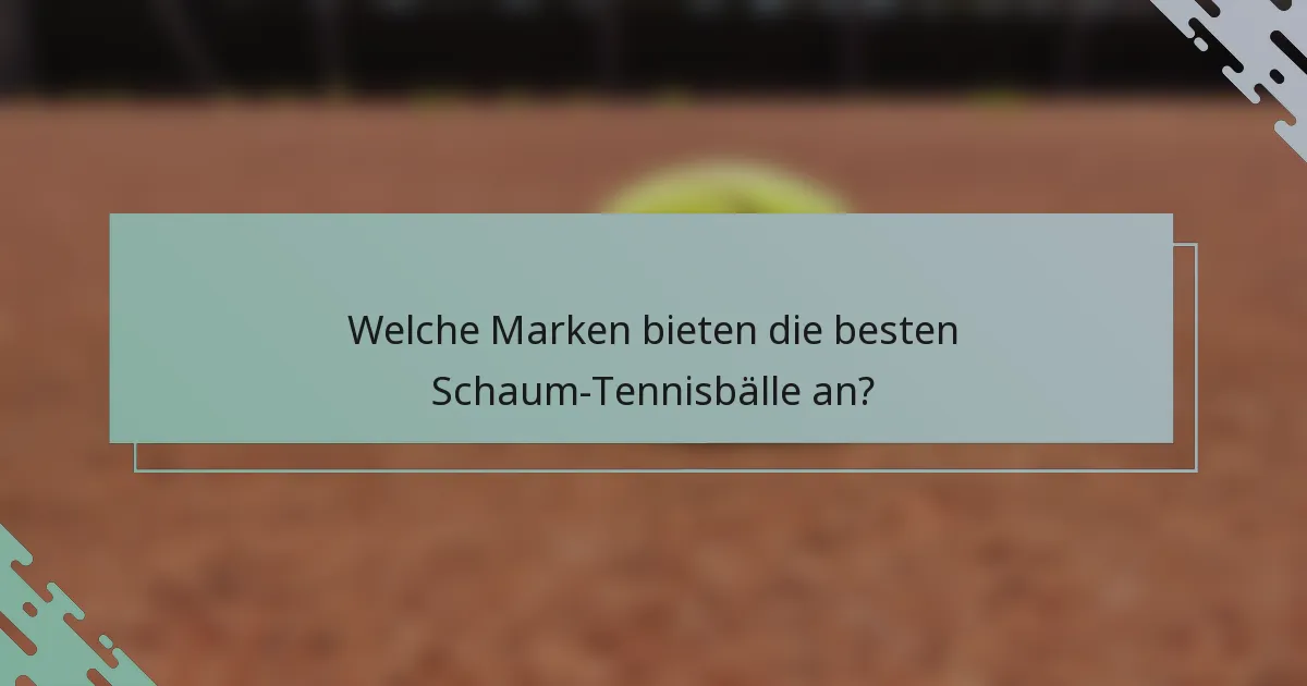 Welche Marken bieten die besten Schaum-Tennisbälle an?