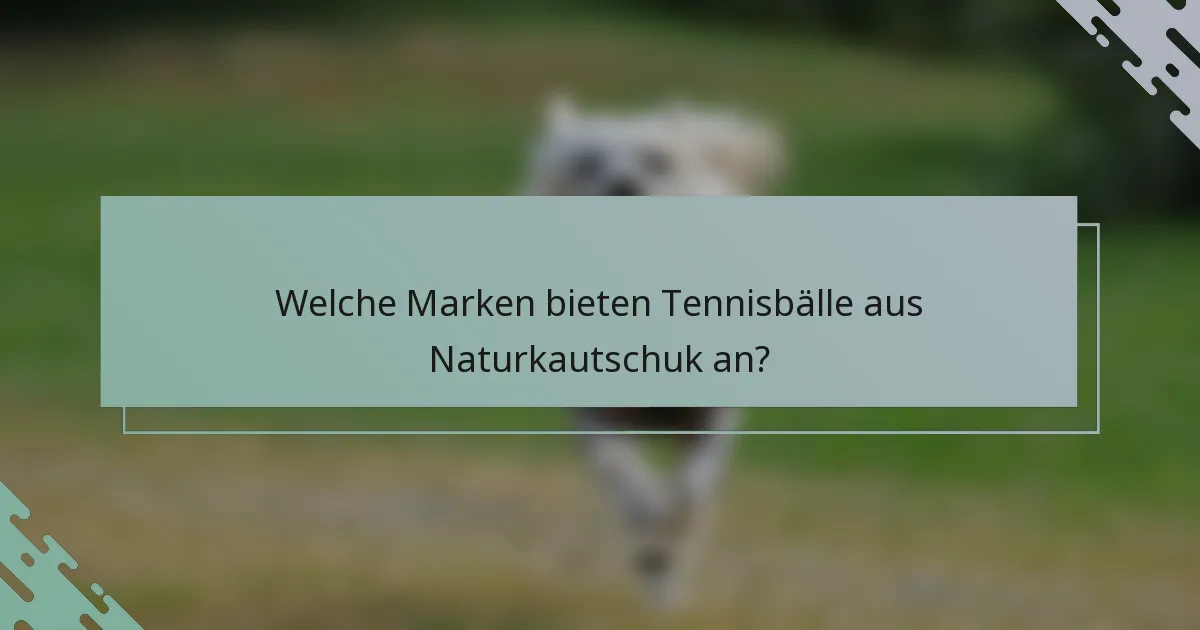 Welche Marken bieten Tennisbälle aus Naturkautschuk an?