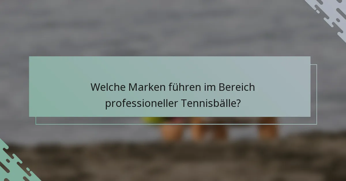 Welche Marken führen im Bereich professioneller Tennisbälle?
