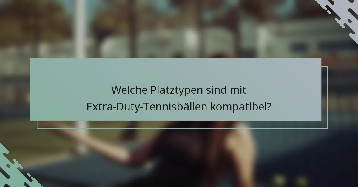 Welche Platztypen sind mit Extra-Duty-Tennisbällen kompatibel?