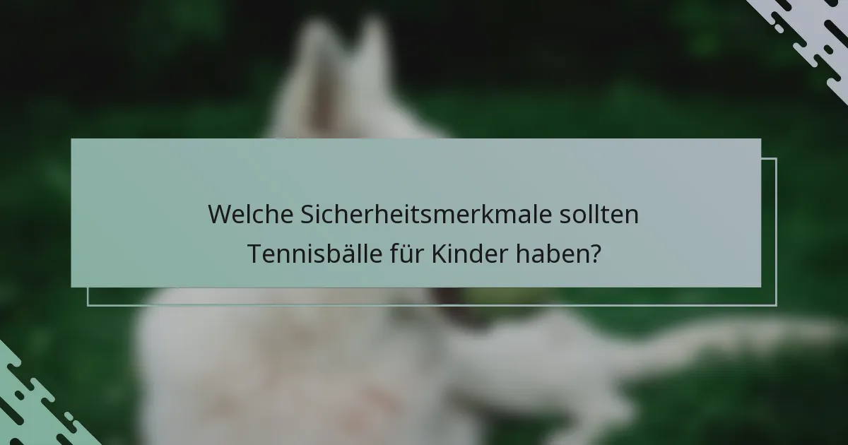 Welche Sicherheitsmerkmale sollten Tennisbälle für Kinder haben?