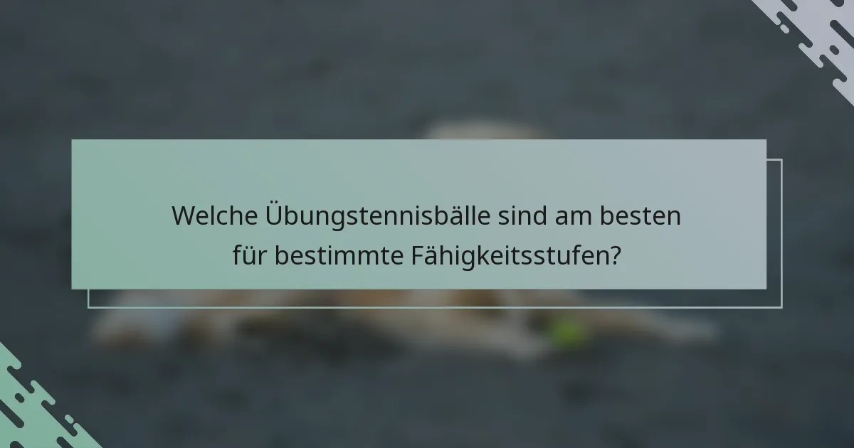 Welche Übungstennisbälle sind am besten für bestimmte Fähigkeitsstufen?