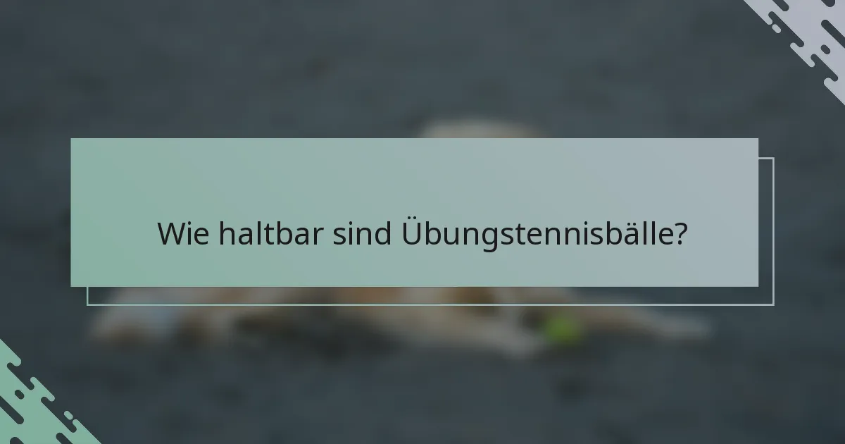 Wie haltbar sind Übungstennisbälle?
