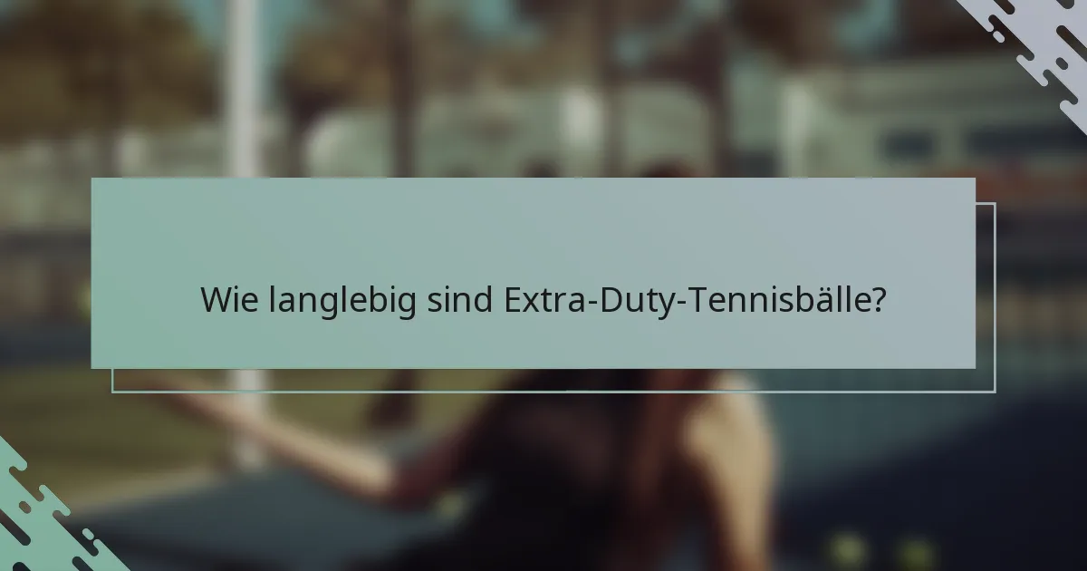 Wie langlebig sind Extra-Duty-Tennisbälle?